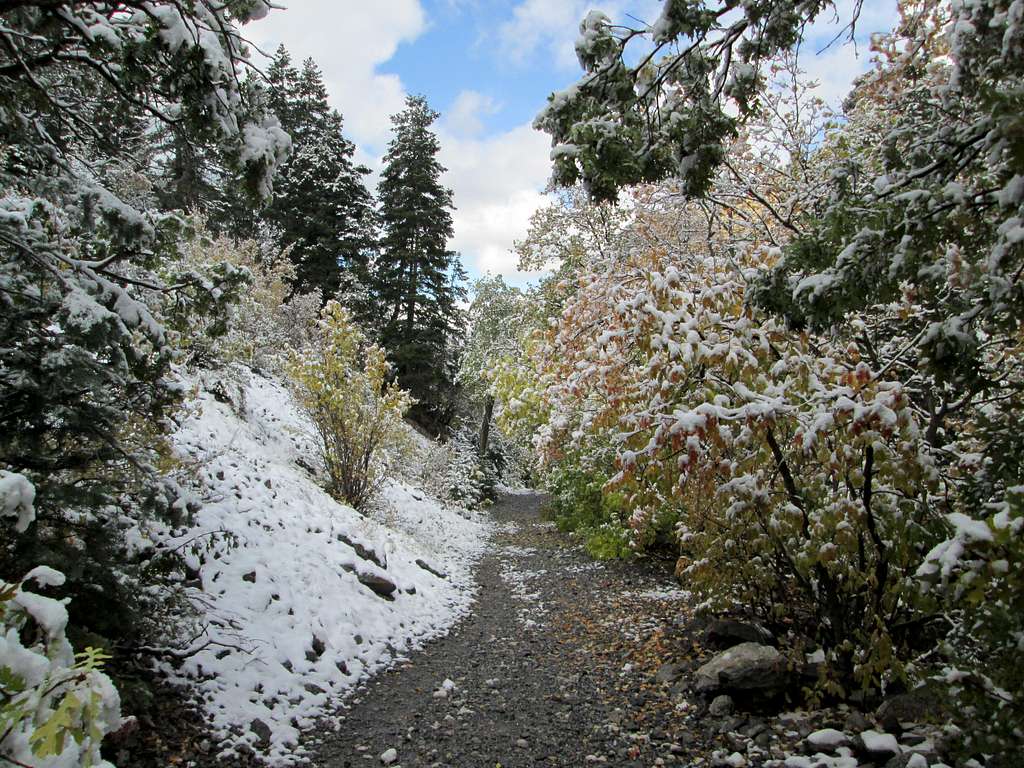 Fall snow in Rock Canyon