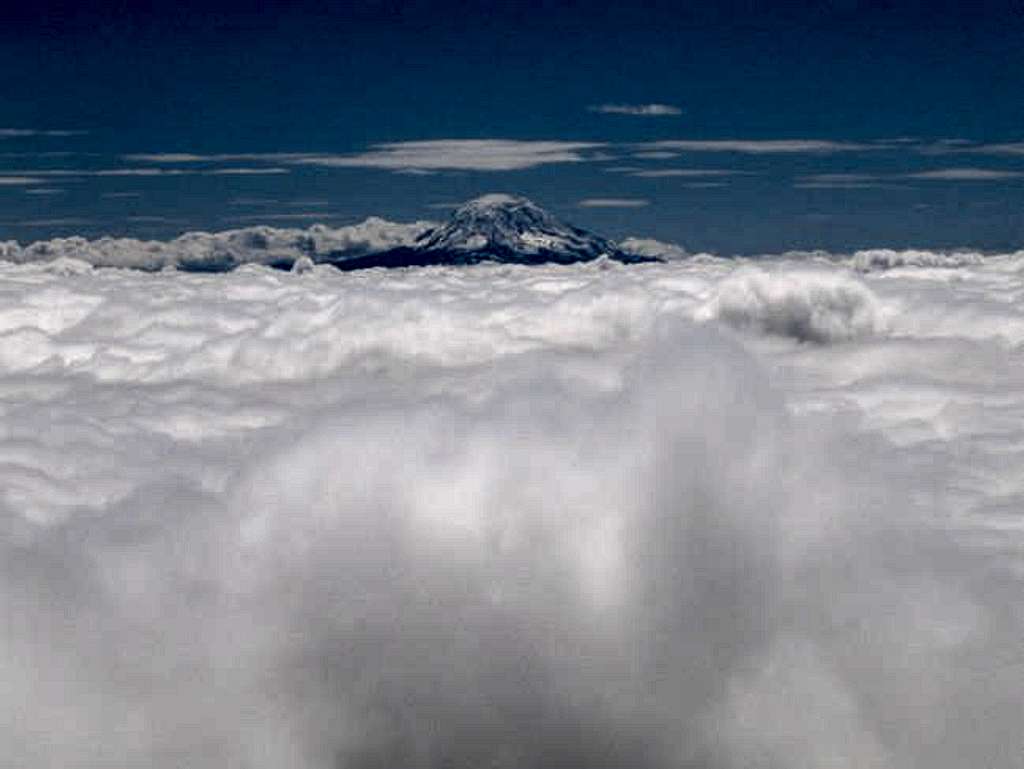 Mount Adams viewed from Muir...