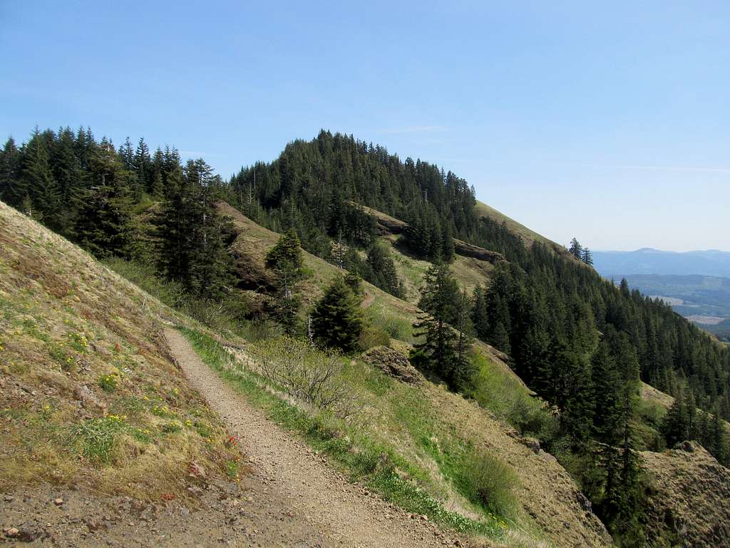 the trail leading down from the summit