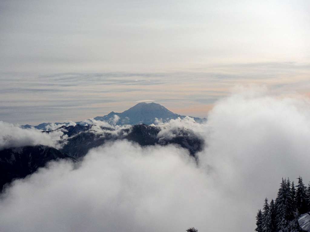 Rainier above the clouds