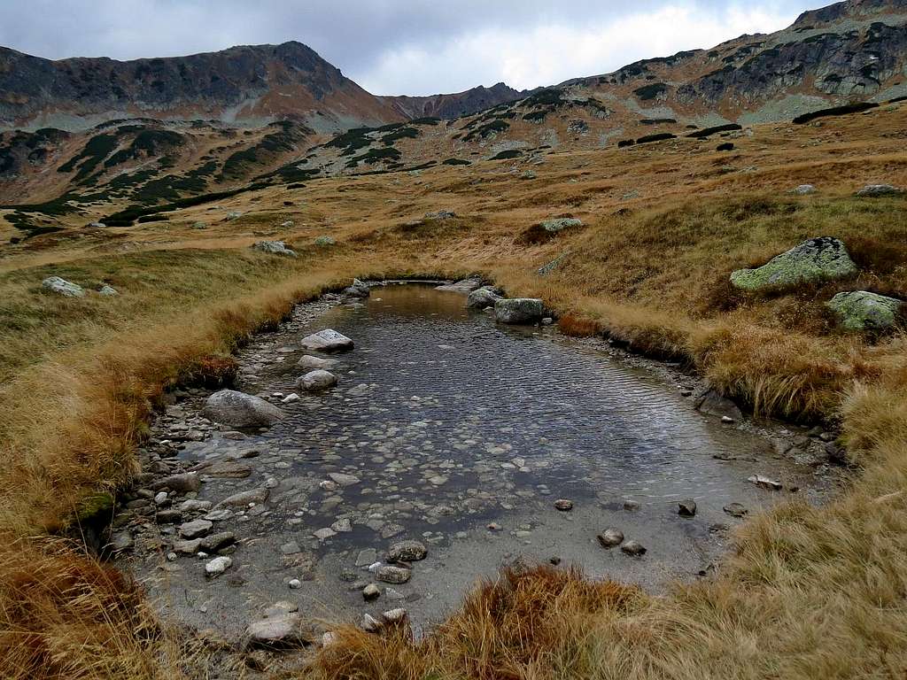 Tiny pond by path to Szpiglasowy Wierch