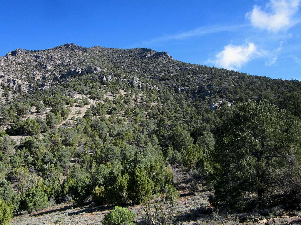 Silver Benchmark Peak (NV)