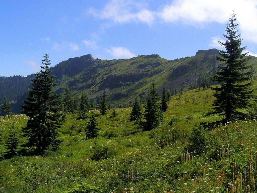 Ed's Trail Ridge