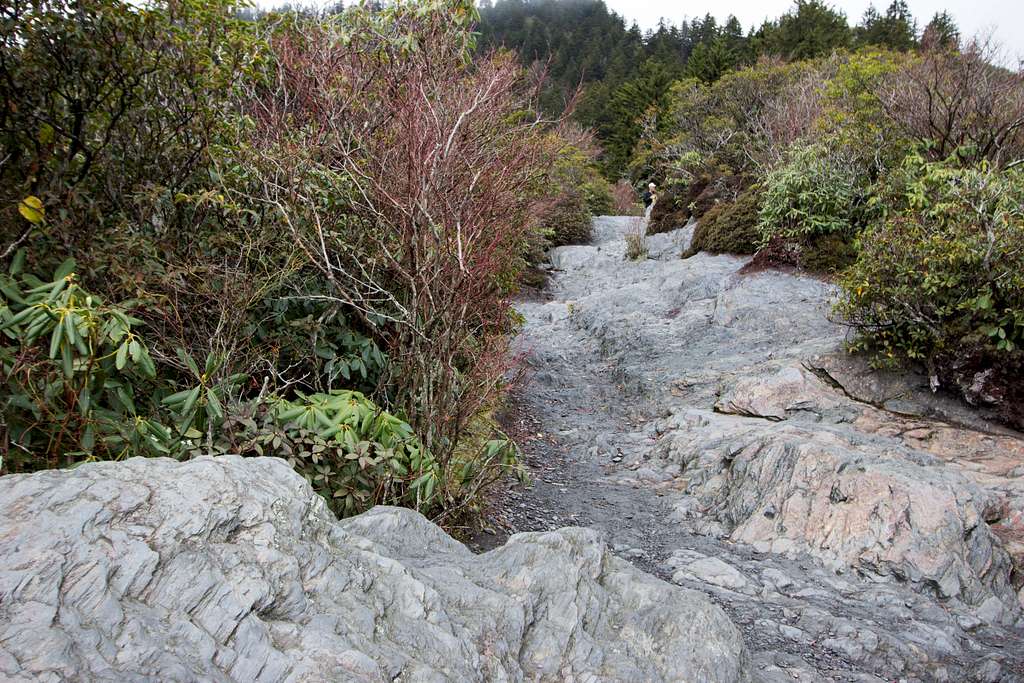 Inspiration Point steps