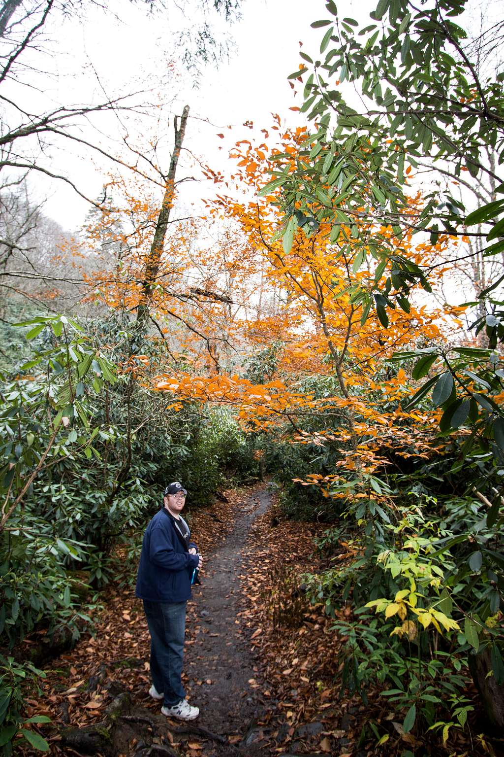 Still some color along the lower trail sections