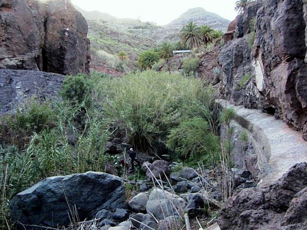 The lush canyon at Sorrueda