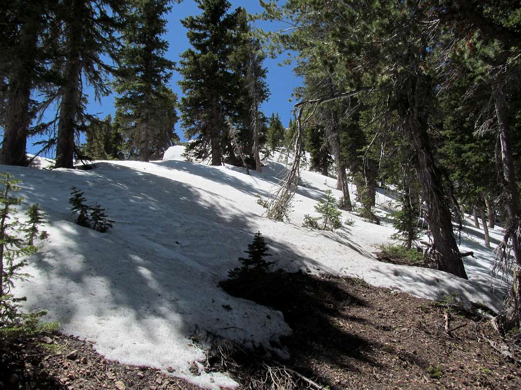 slushy snow along the north ridge