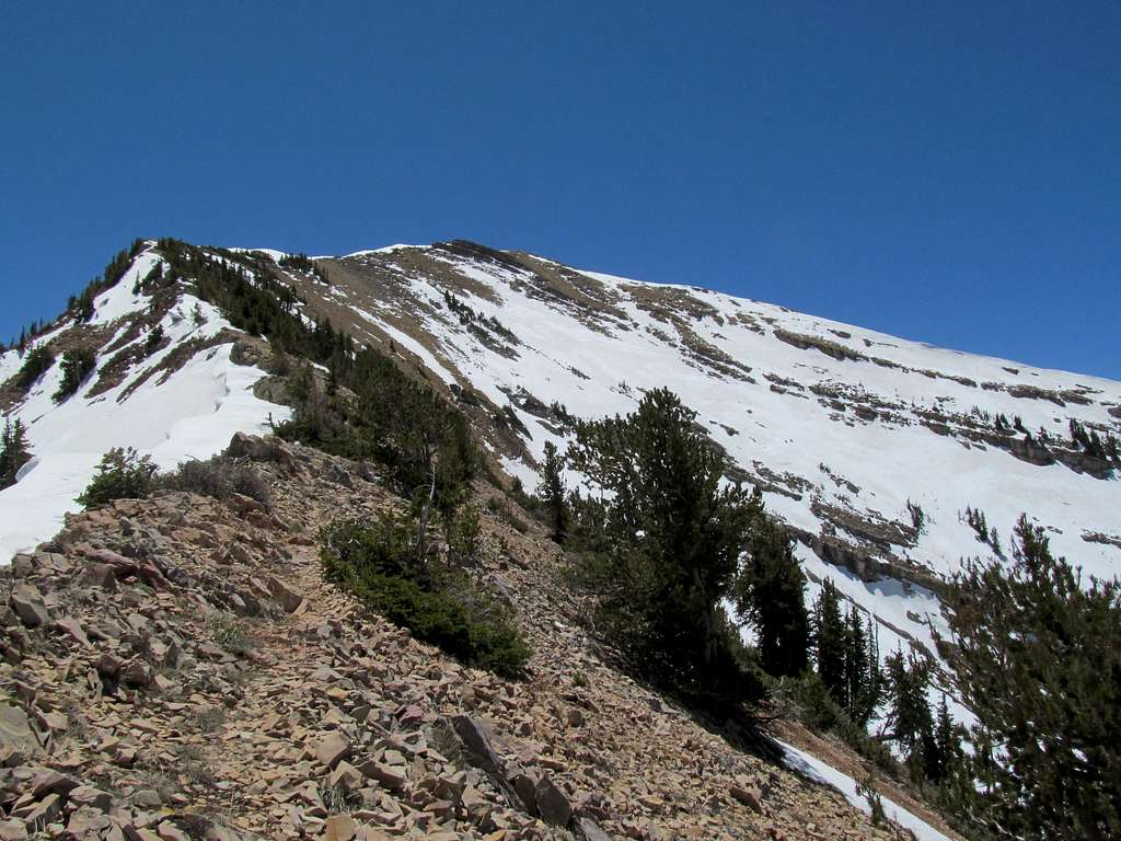 last few hundred feet up Box Elder