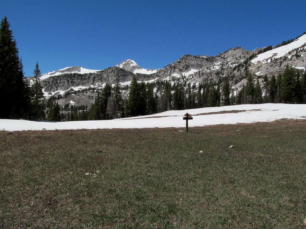 meadow at the saddle