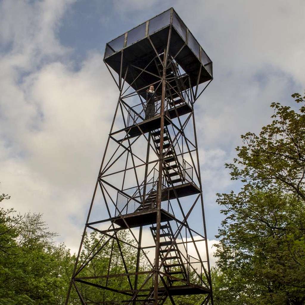 Observation Tower - Mount Davis