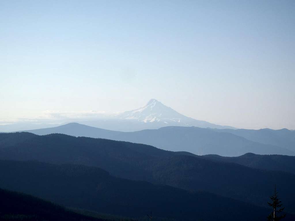 Mount Hood, from Red Mountain