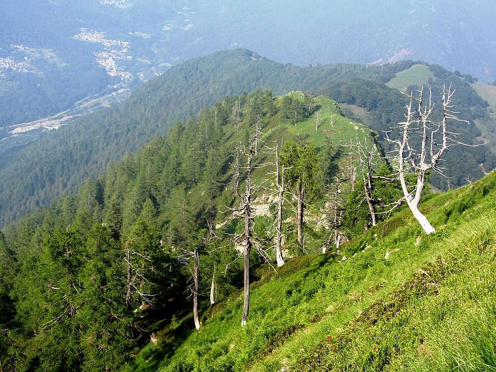 Looking down over Cresta Orsera from La Cima