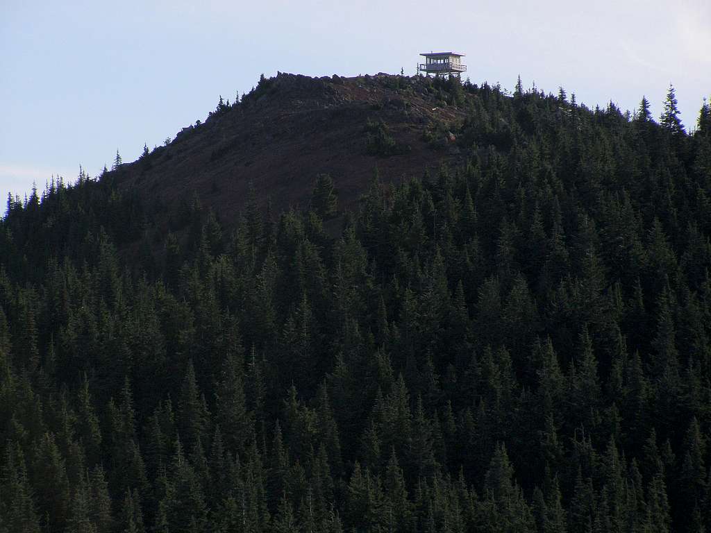 The Lookout