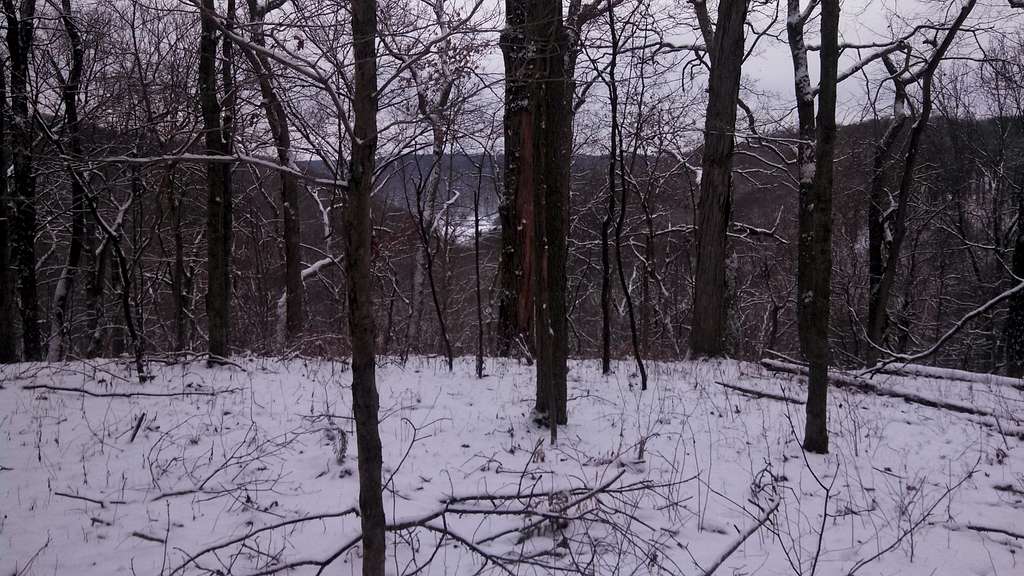 wintertime views with part of the lake down below off in the distance along forest trail