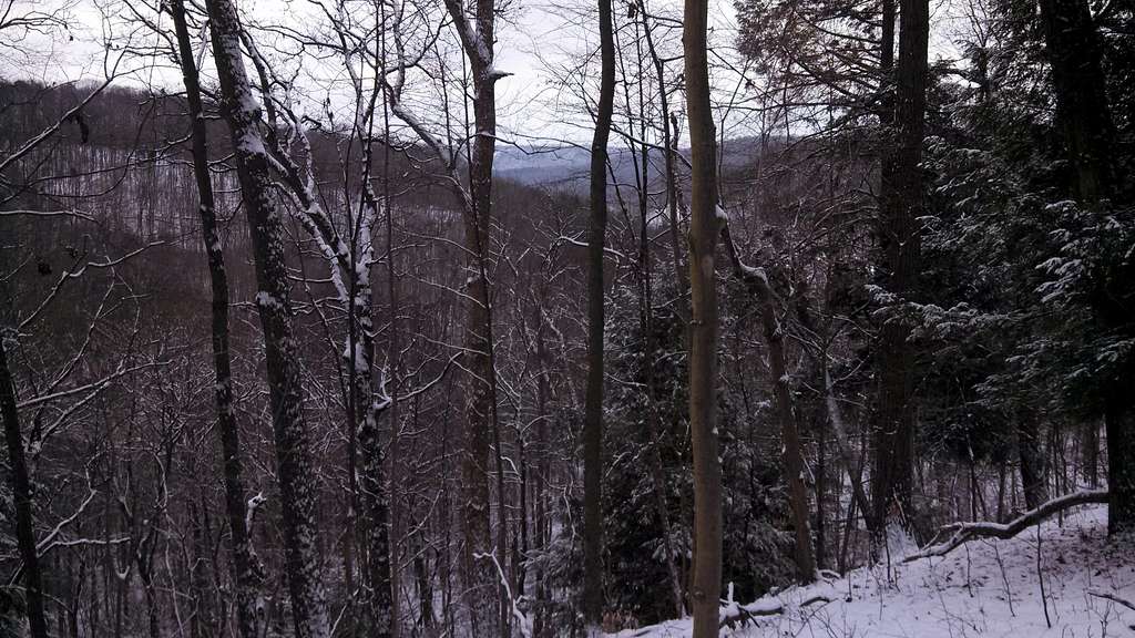 more Forest trail views