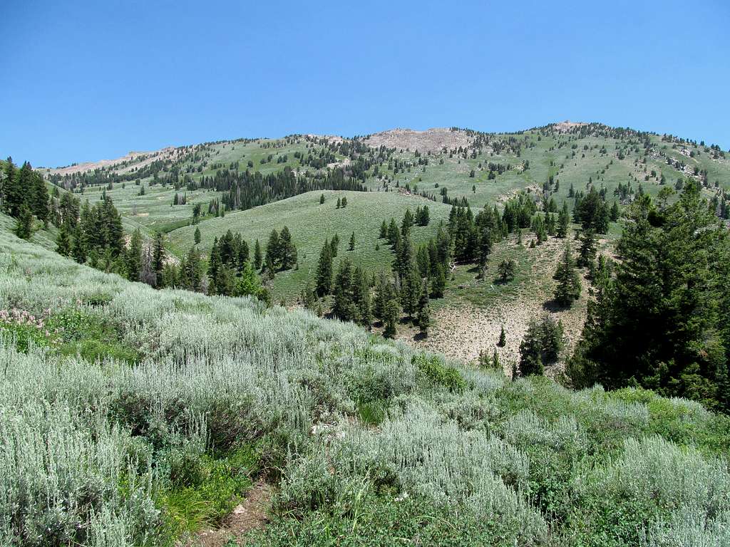 slopes of Smoky Dome