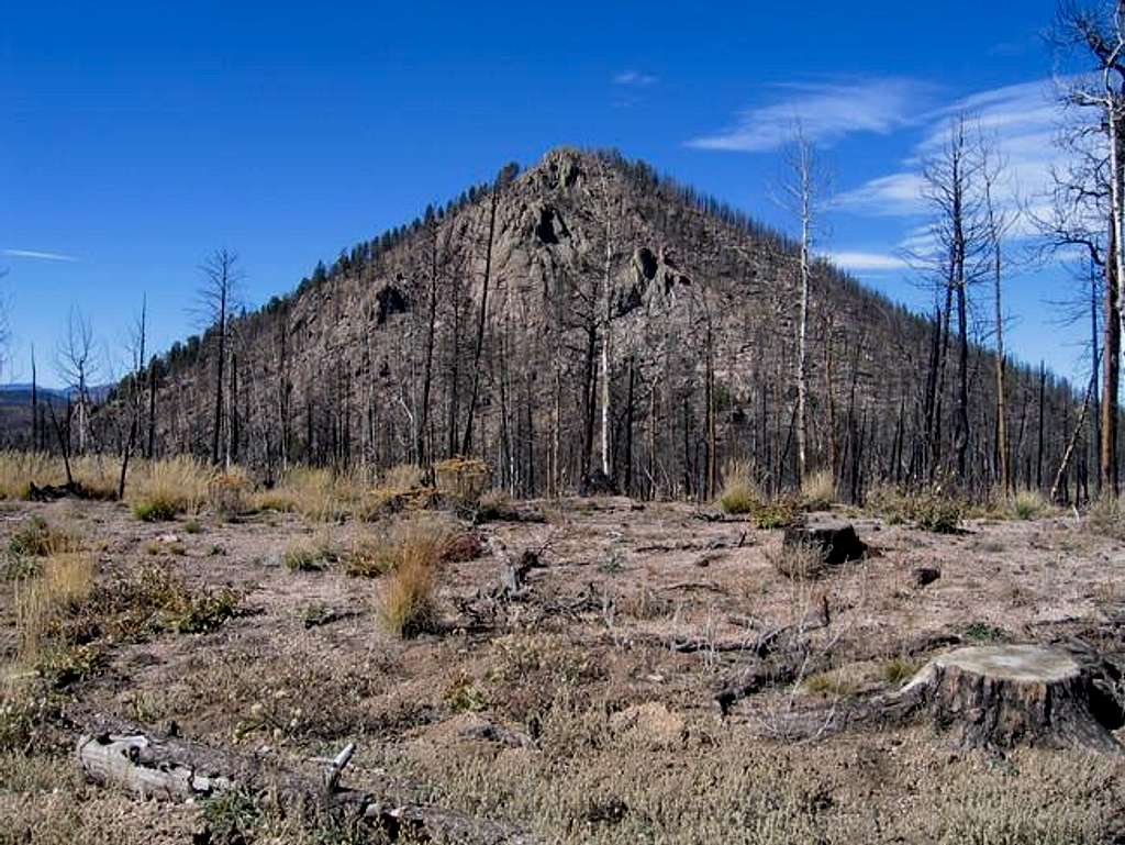 Signal Butte from near the...