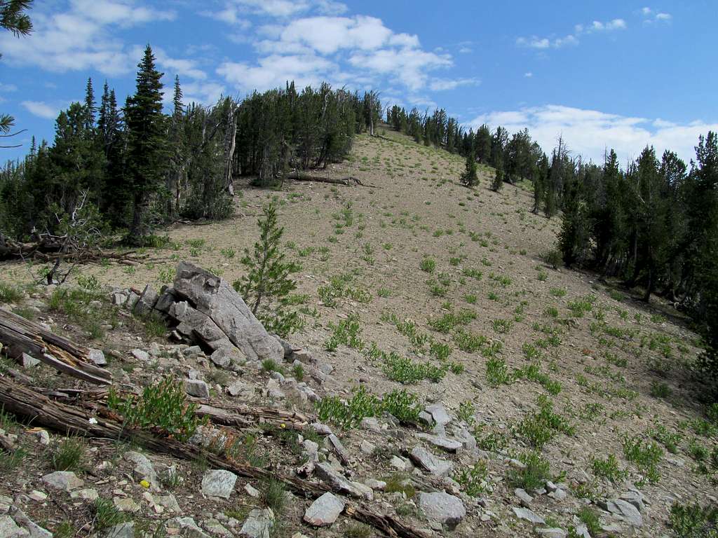 ascending summit ridges