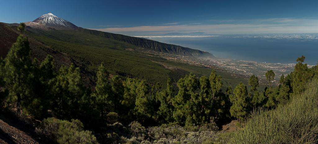 Orotava Valley