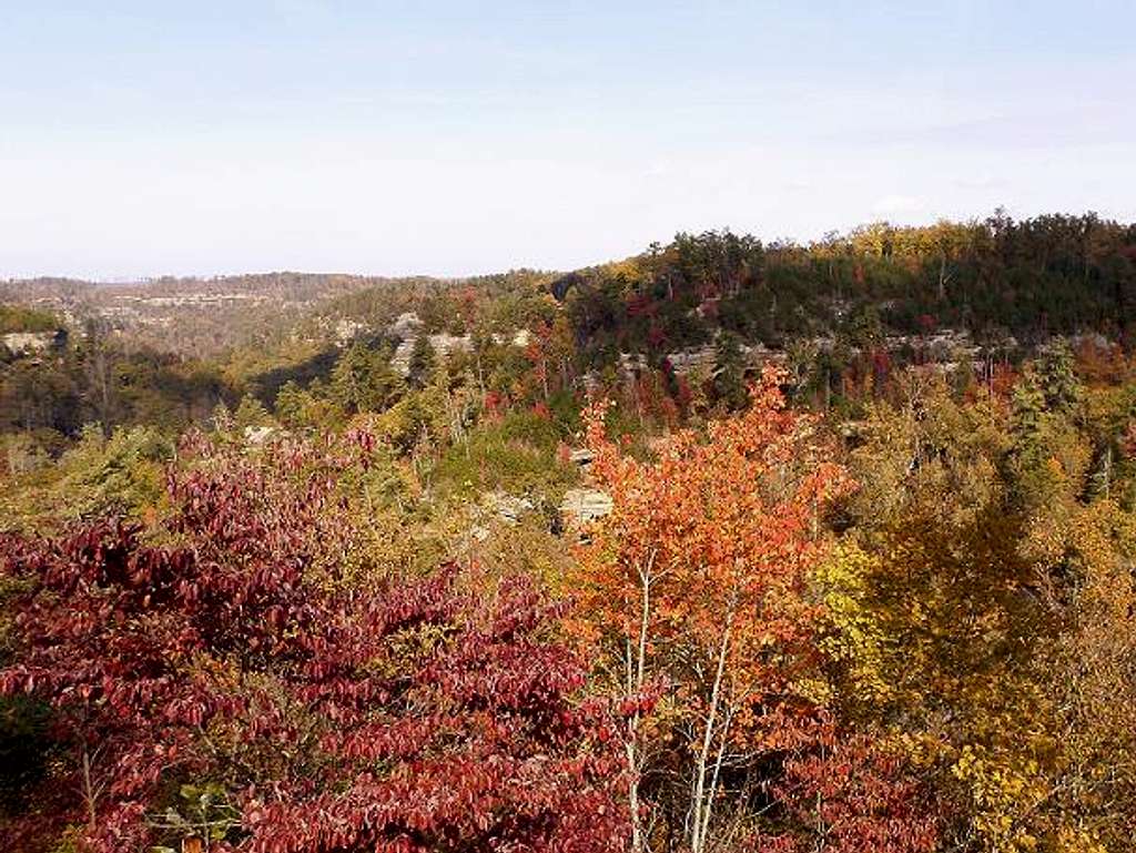 Bright Red River Gorge
