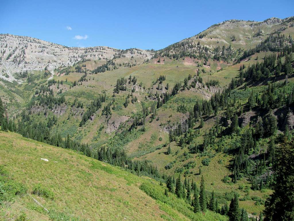 looking back at N Fork Indian Creek Drainage