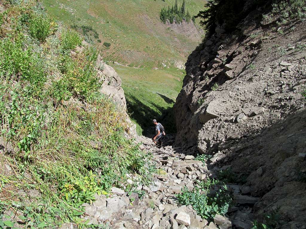 descending gully to S Fork Indian Creek