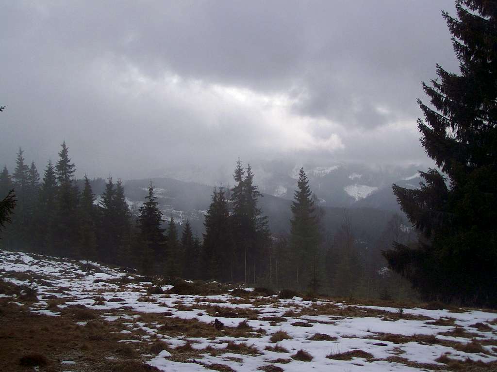 Beauty of bad weather - Mestecăniș