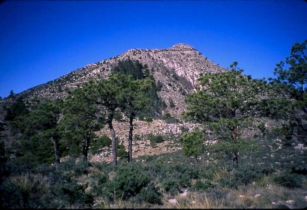 Guadalupe Peak from Guadalupe...