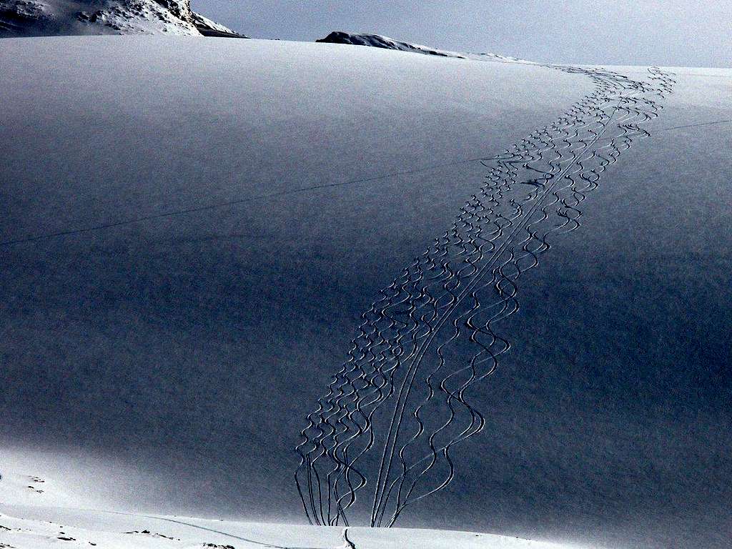 Tracks on Blanket Glacier