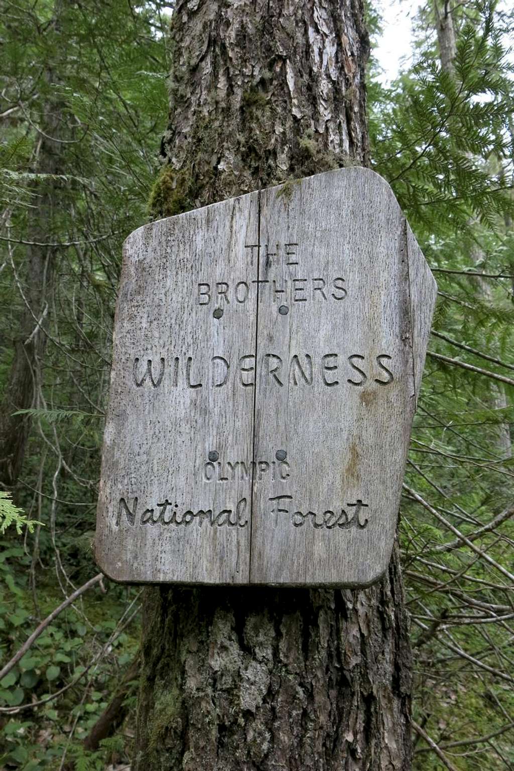 The Brothers Wilderness