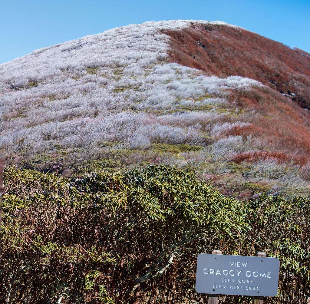 Craggy Dome Panorama