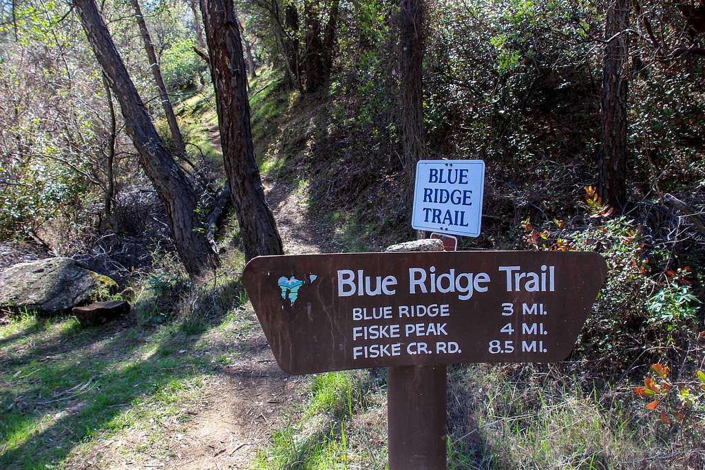 Sign at Fiske Peak trail head
