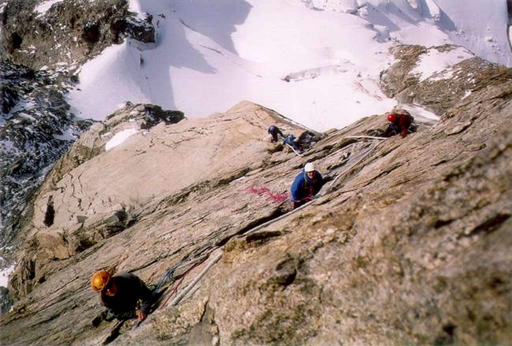 Climbing Placche Burgener
