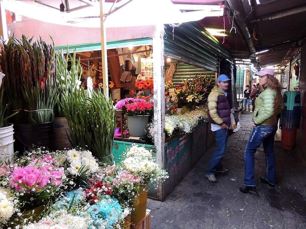 Wandering the market