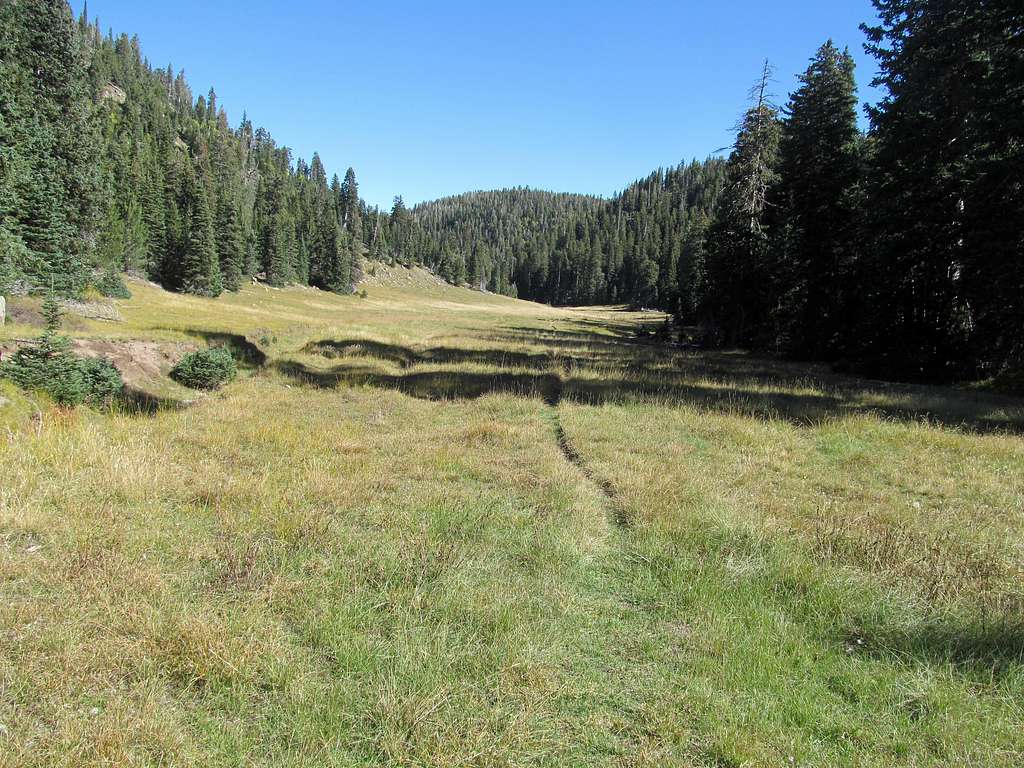 looking back at summit area meadow