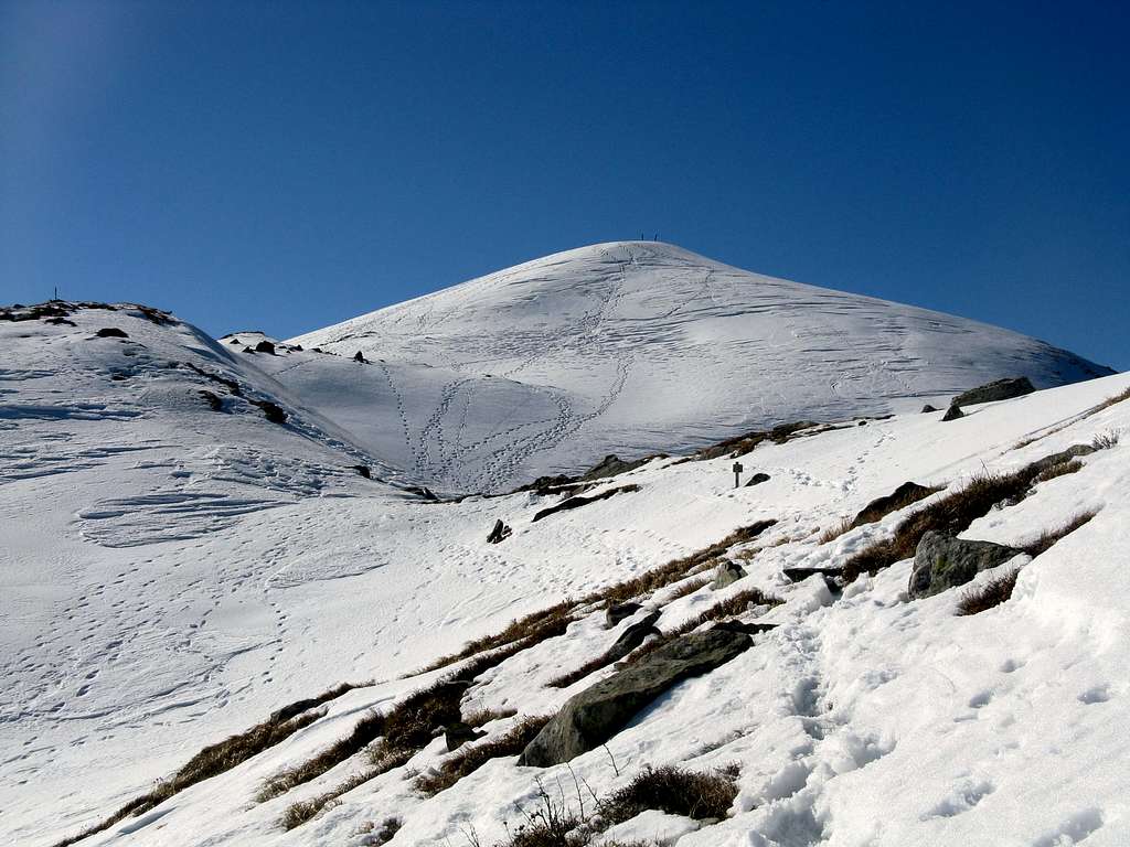 Orsaro summit slope from the Normal route