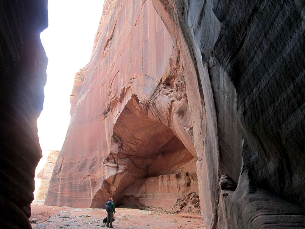 My dad and dog looking up at the sandstone cliff at the end of a slot canyon, near the 