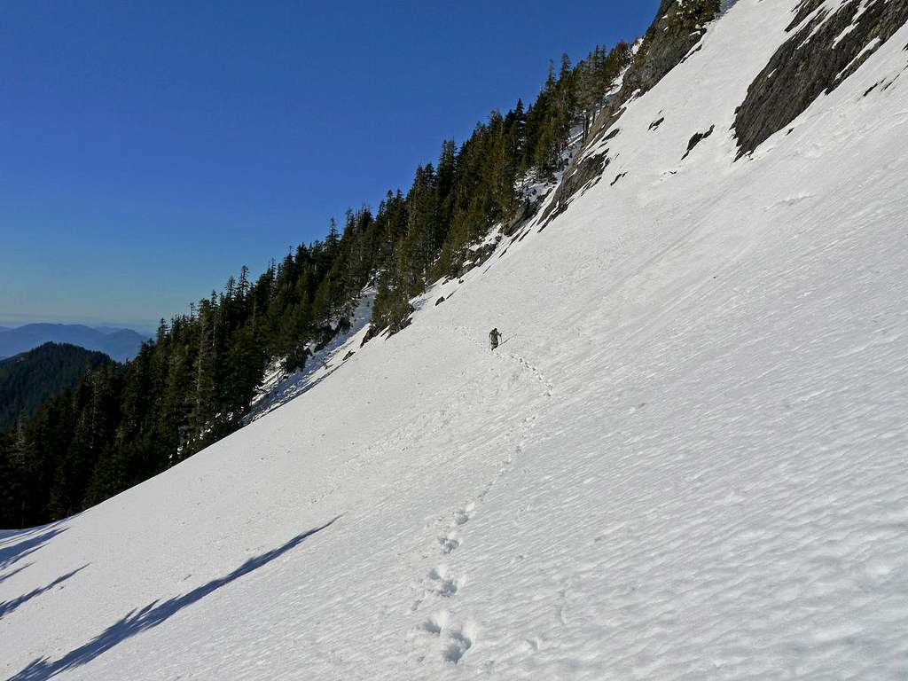 Traversing back to the Woods of Lone Tree Pass