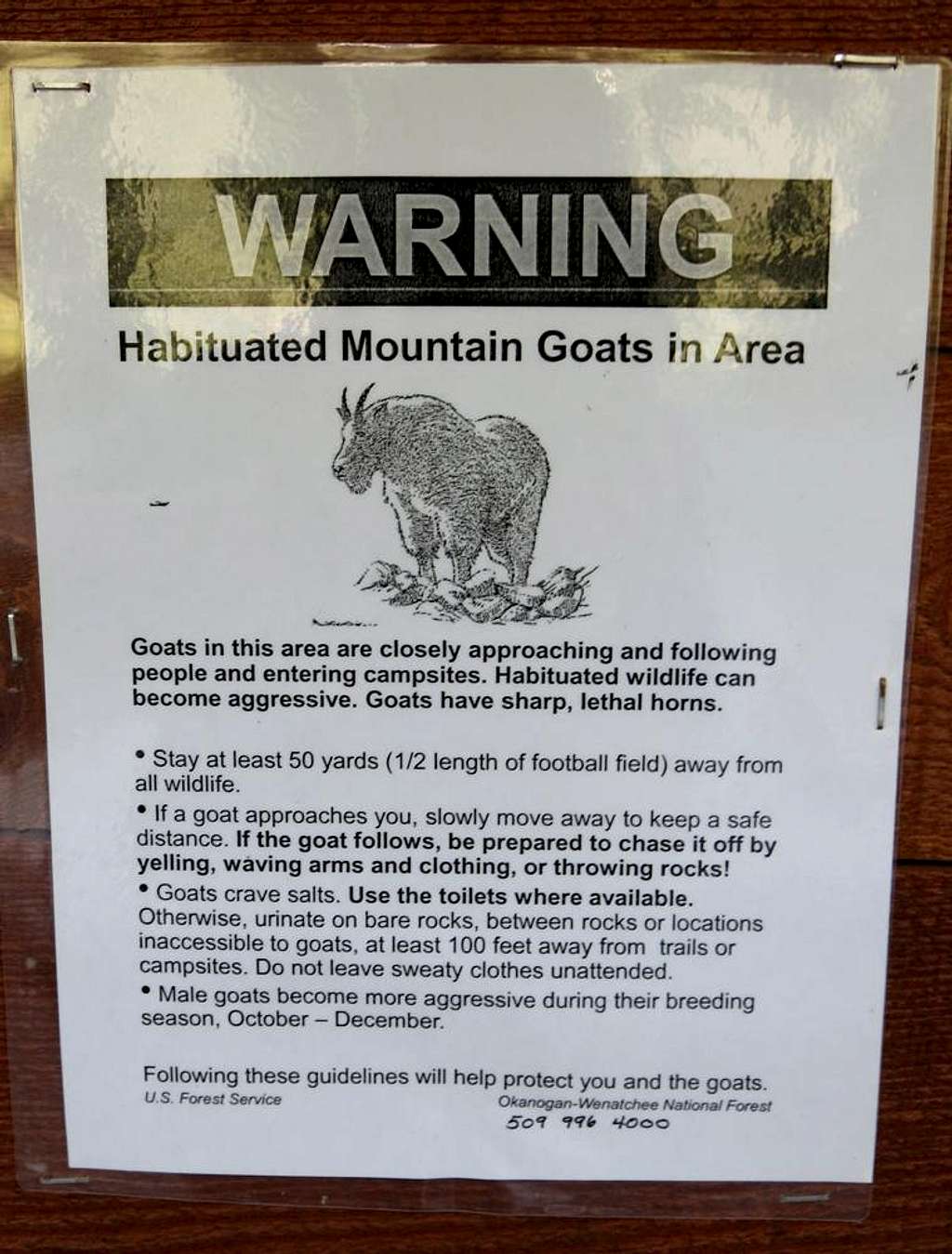 Black Peak Mountain Goat Warning