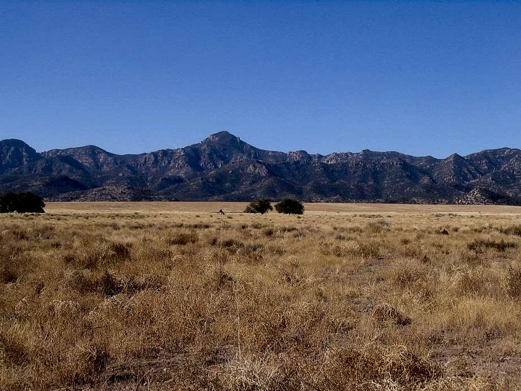 Bassett peak AZ