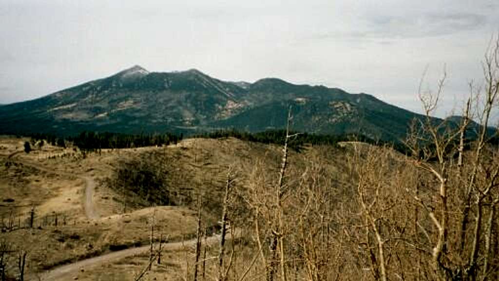 The San Francisco Peaks from...