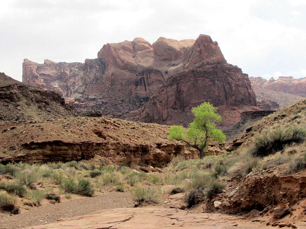 Upheaval Canyon