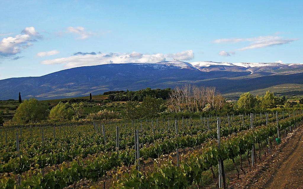 Mont Ventoux from the SW