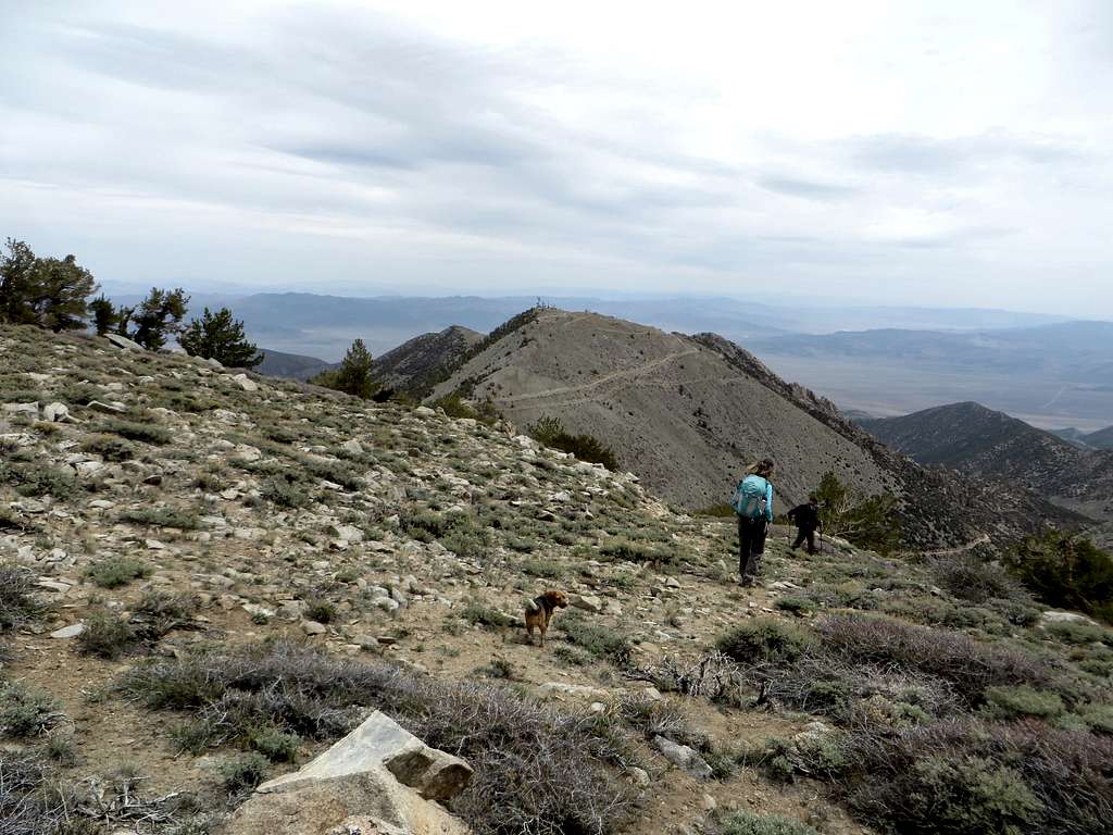 Descending Corey Peak summit with views to East Corey Peak