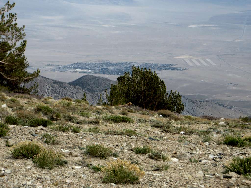 Hawthorne seen from near the summit of East Corey Peak