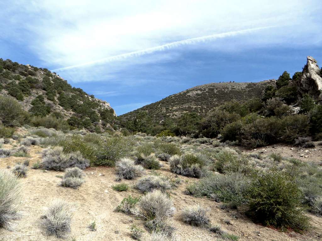 View from the road towards East Corey Peak