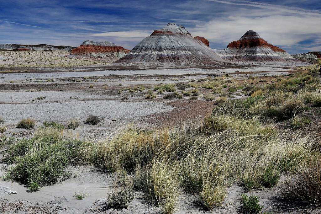Tepees in Petrified Forest National Park