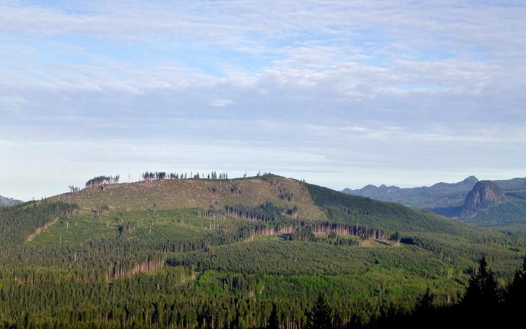 Kinsey Hill on the way up McGillicuddys Peak