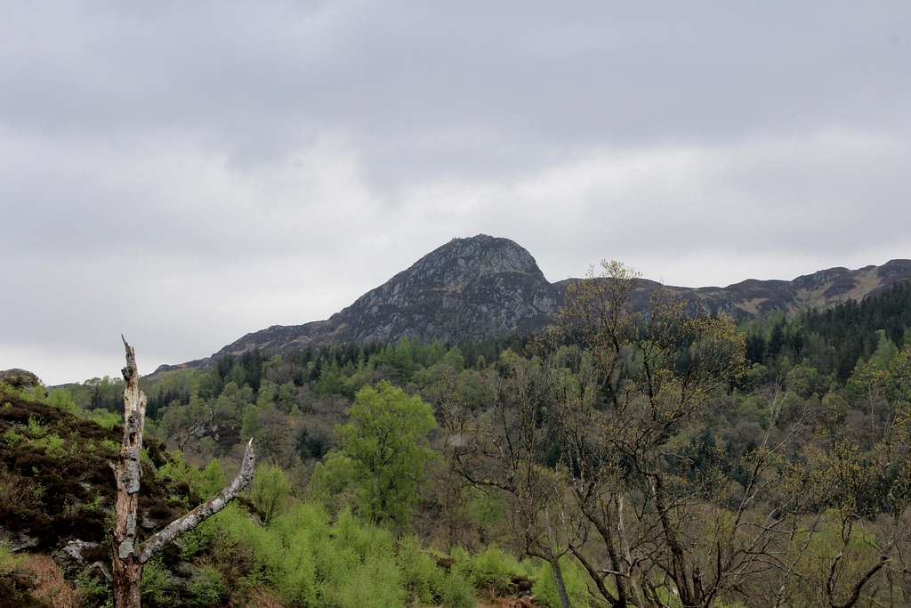 Ben A'an in May