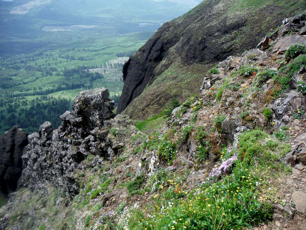 Pictures of the cliff on Saddle Mountain